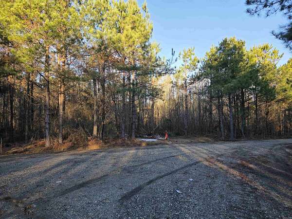 3.1 Acres of Residential Land for Sale in Rison, Arkansas