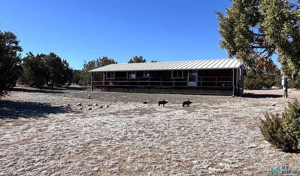 6.39 Acres of Residential Land with Home for Sale in Quemado, New Mexico