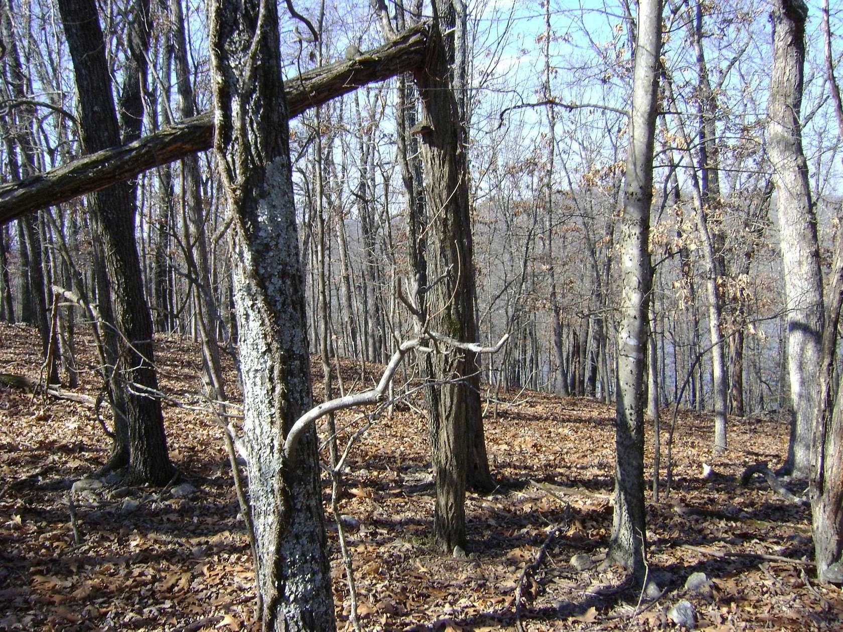 2.47 Acres of Residential Land for Sale in Horseshoe Bend, Arkansas