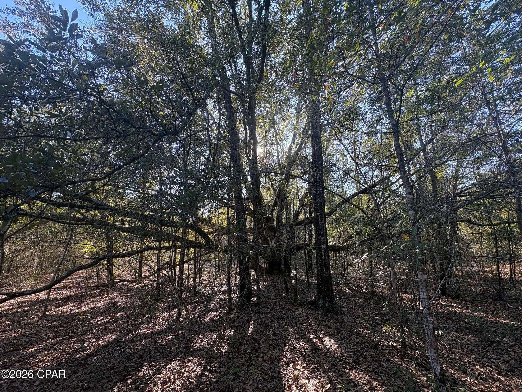 1.64 Acres of Land for Sale in Marianna, Florida