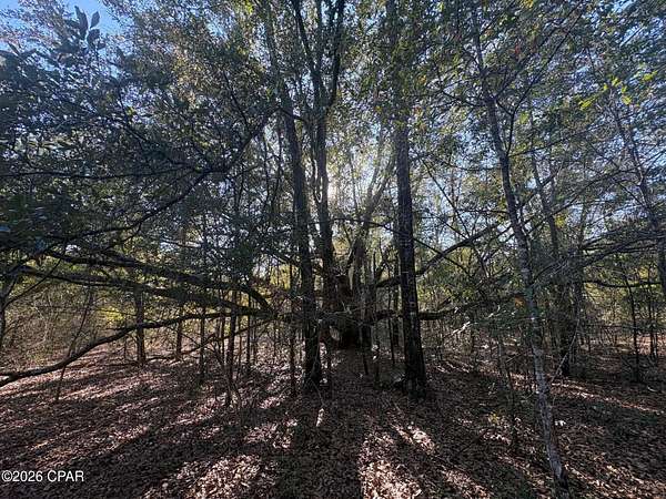 1.64 Acres of Land for Sale in Marianna, Florida