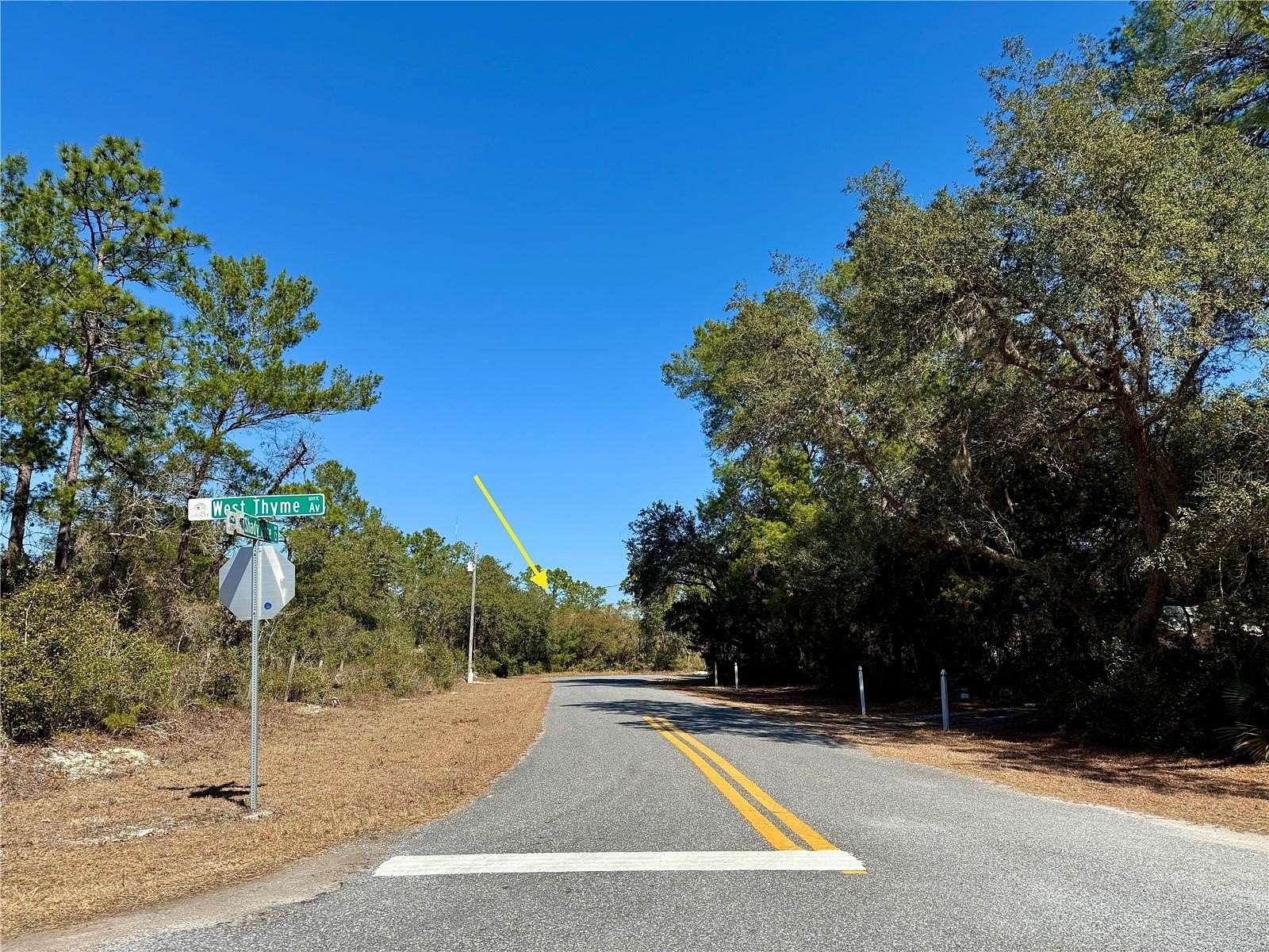 1.3 Acres of Residential Land for Sale in Eustis, Florida