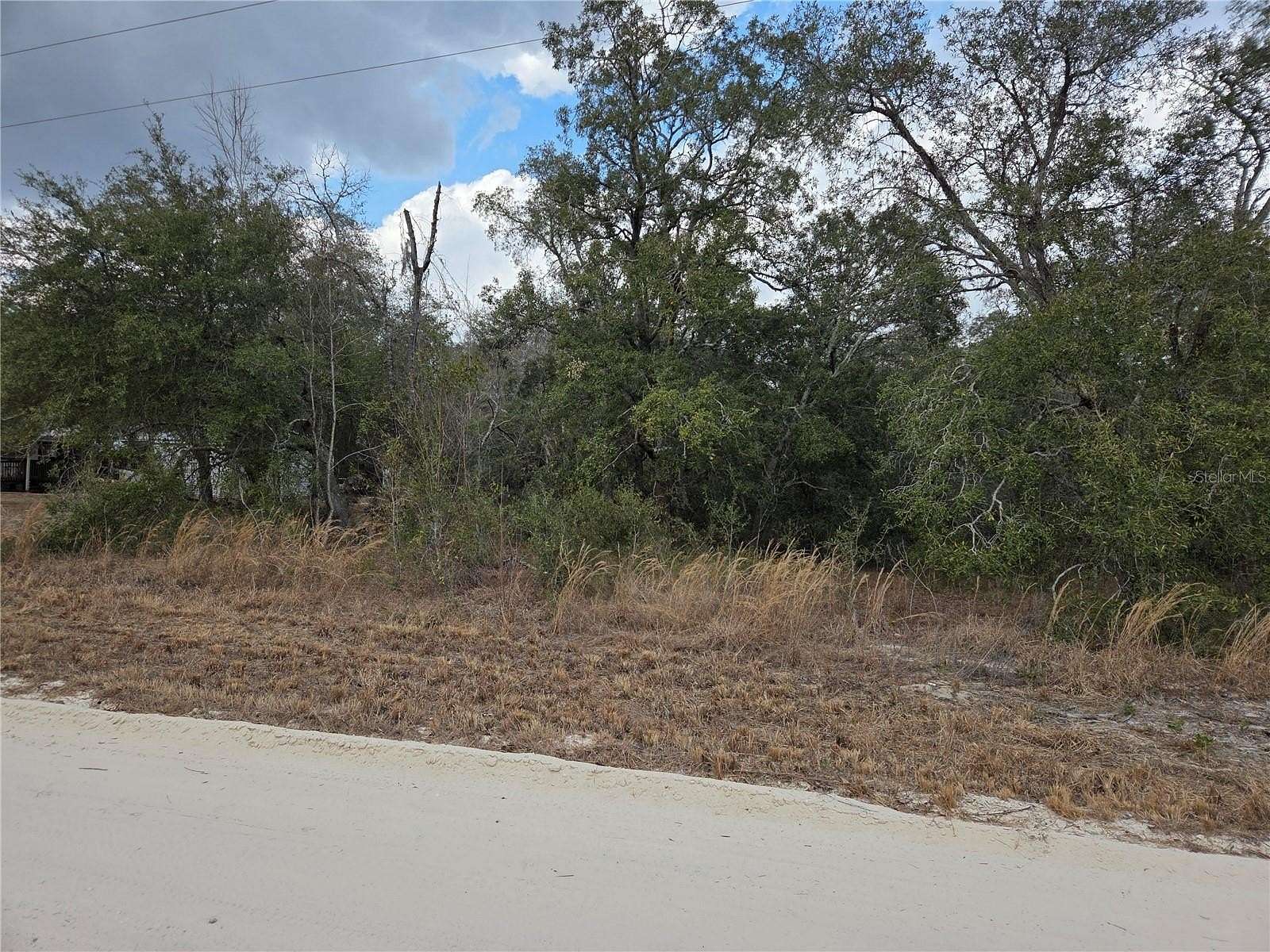 1.25 Acres of Land for Sale in Morriston, Florida