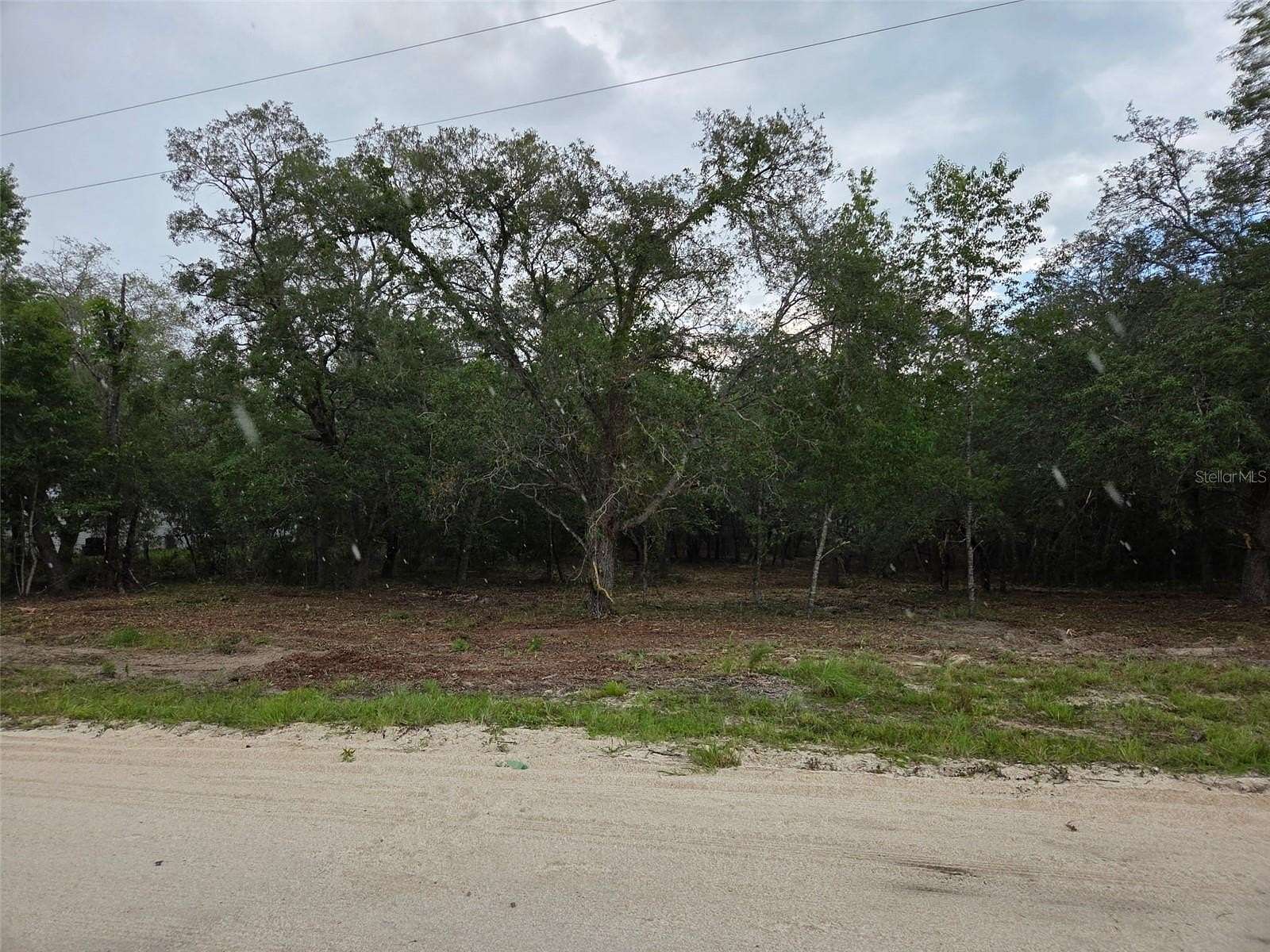 1.25 Acres of Land for Sale in Morriston, Florida