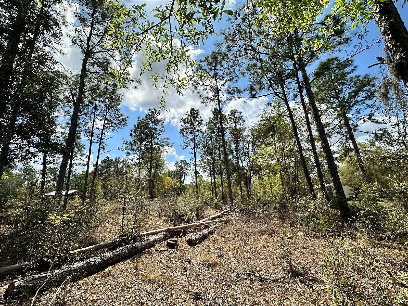 1.25 Acres of Residential Land for Sale in Bronson, Florida