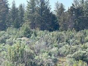 1.68 Acres of Land for Sale in Beatty, Oregon