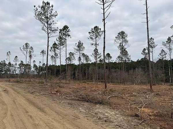 58.1 Acres of Land for Sale in Carriere, Mississippi