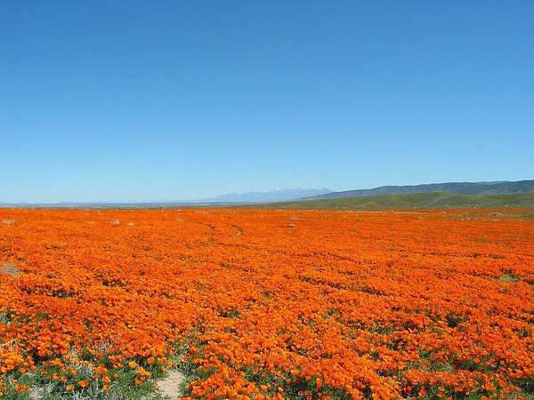 2.43 Acres of Residential Land for Sale in Lancaster, California