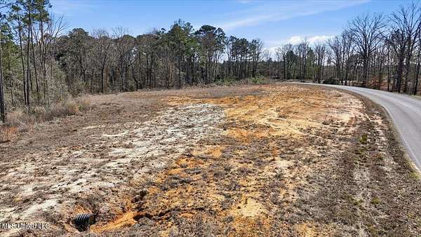 2.52 Acres of Residential Land for Sale in Pelahatchie, Mississippi