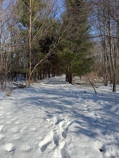 6.6 Acres of Residential Land for Sale in Laingsburg, Michigan