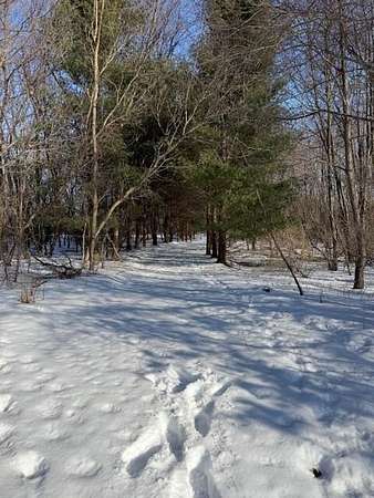 6.6 Acres of Residential Land for Sale in Laingsburg, Michigan