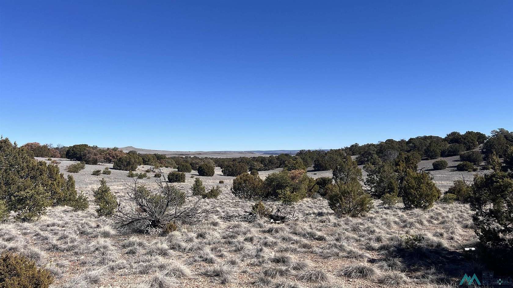 6 Acres of Residential Land for Sale in Quemado, New Mexico