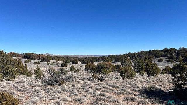 6 Acres of Residential Land for Sale in Quemado, New Mexico
