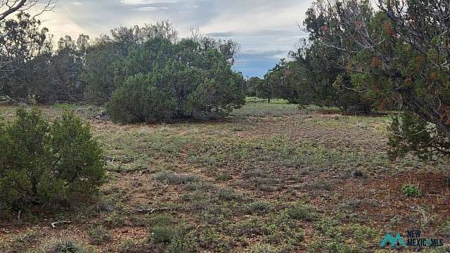 6 Acres of Residential Land for Sale in Quemado, New Mexico