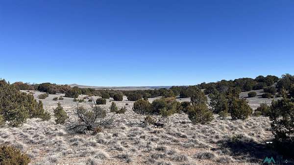 6 Acres of Residential Land for Sale in Quemado, New Mexico