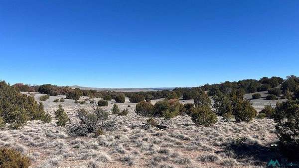 6 Acres of Residential Land for Sale in Quemado, New Mexico