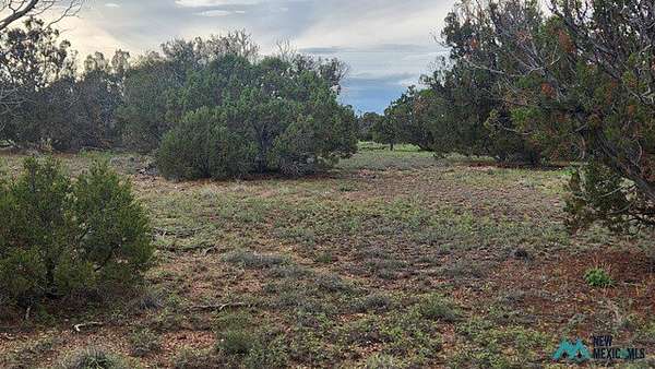 6 Acres of Residential Land for Sale in Quemado, New Mexico