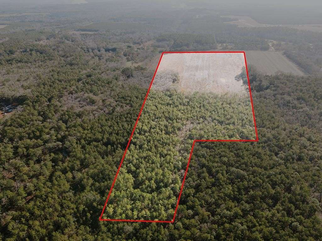 71.8 Acres of Land for Sale in Bainbridge, Georgia