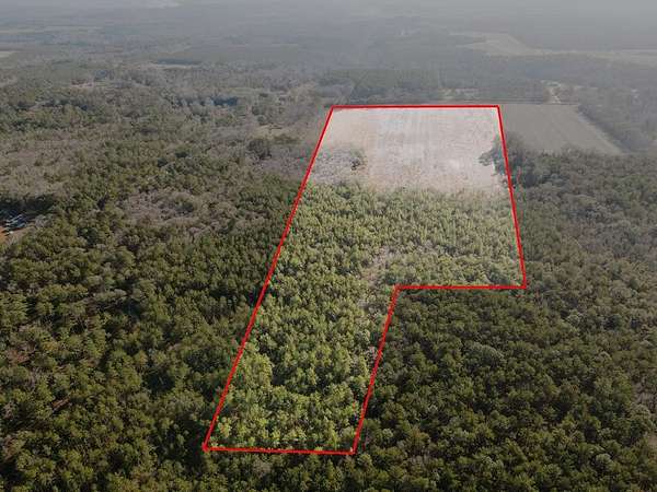 71.8 Acres of Land for Sale in Bainbridge, Georgia
