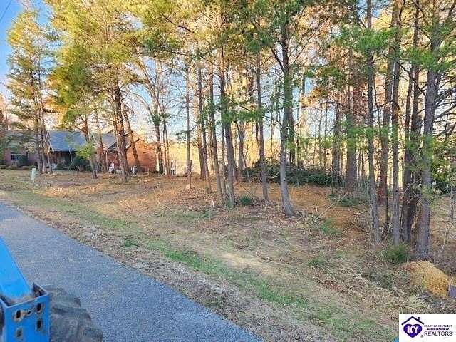 0.72 Acres of Residential Land for Sale in Falls of Rough, Kentucky