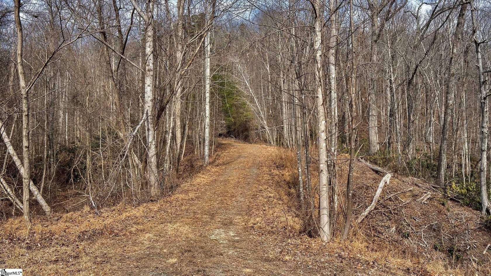 11.7 Acres of Recreational & Residential Land for Sale in Travelers Rest, South Carolina