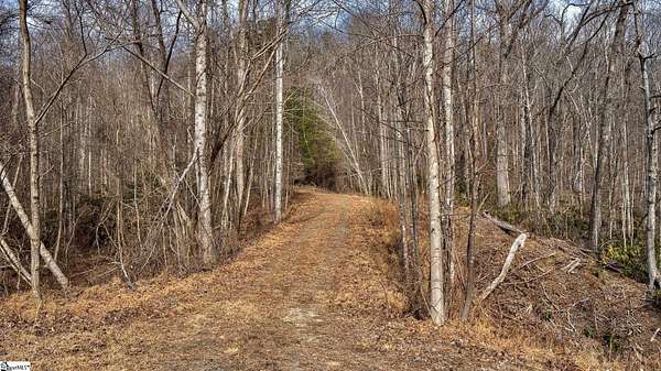 11.7 Acres of Recreational & Residential Land for Sale in Travelers Rest, South Carolina