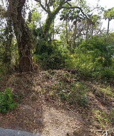 0.12 Acres of Residential Land for Sale in Daytona Beach, Florida