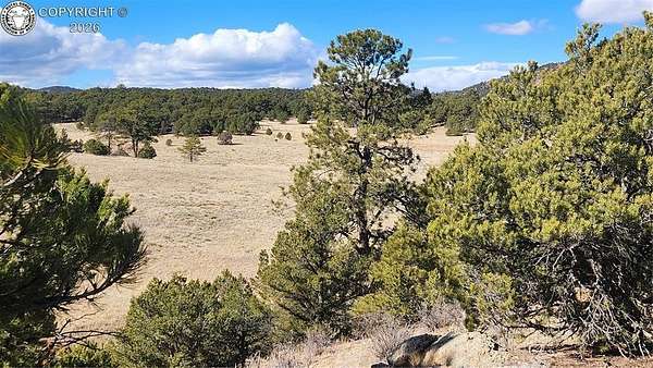5.3 Acres of Land for Sale in Cotopaxi, Colorado