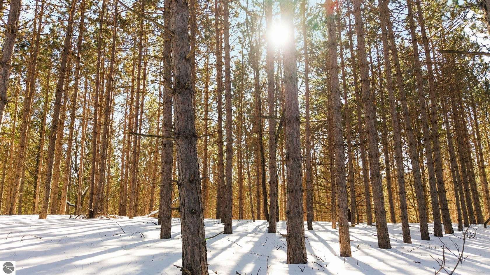 4.1 Acres of Land for Sale in Williamsburg, Michigan