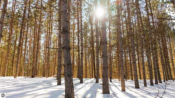 4.1 Acres of Land for Sale in Williamsburg, Michigan