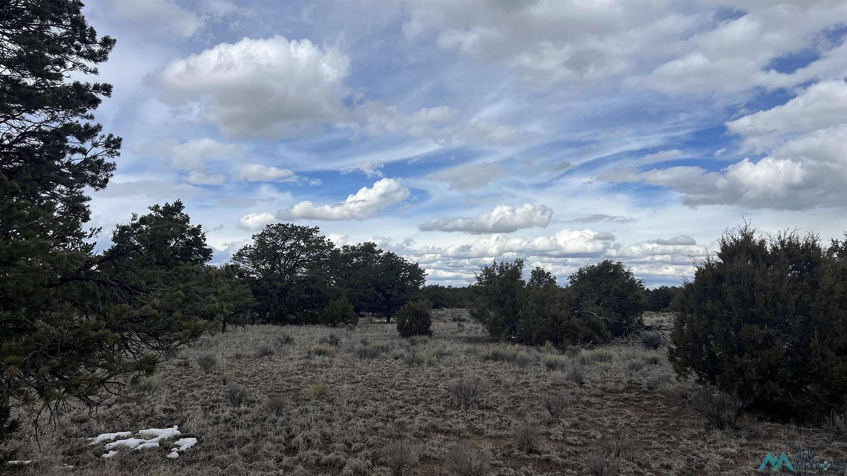 20 Acres of Recreational & Residential Land for Sale in Fence Lake, New Mexico