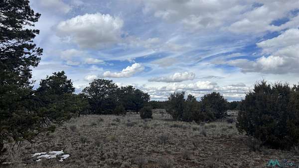20 Acres of Recreational & Residential Land for Sale in Fence Lake, New Mexico