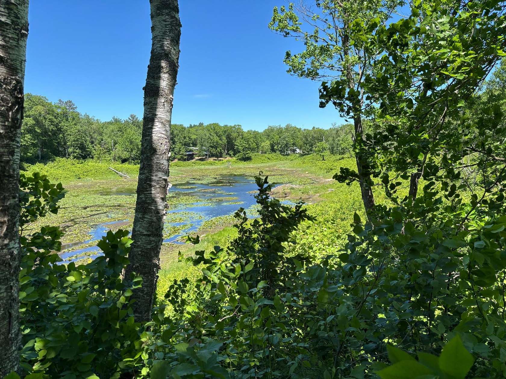3.73 Acres of Land for Sale in Longville, Minnesota