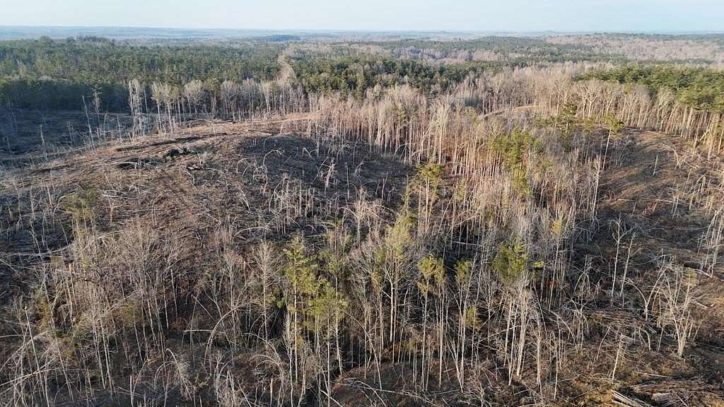 70.1 Acres of Recreational & Residential Land for Sale in Coffeeville, Mississippi