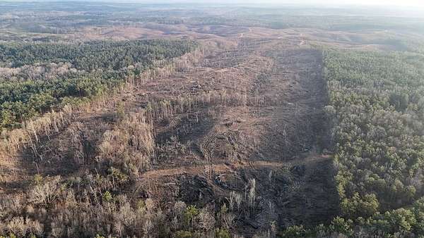 70.1 Acres of Recreational & Residential Land for Sale in Coffeeville, Mississippi