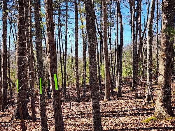 1.43 Acres of Residential Land for Sale in Murphy, North Carolina