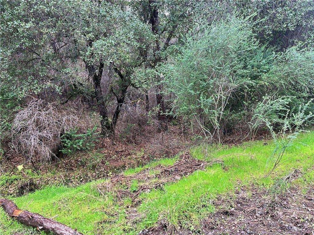 6.55 Acres of Residential Land for Sale in Clearlake Oaks, California