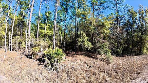 0.24 Acres of Residential Land for Sale in Ocala, Florida
