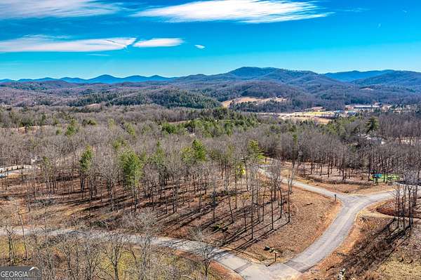 1 Acre of Residential Land for Sale in Blue Ridge, Georgia