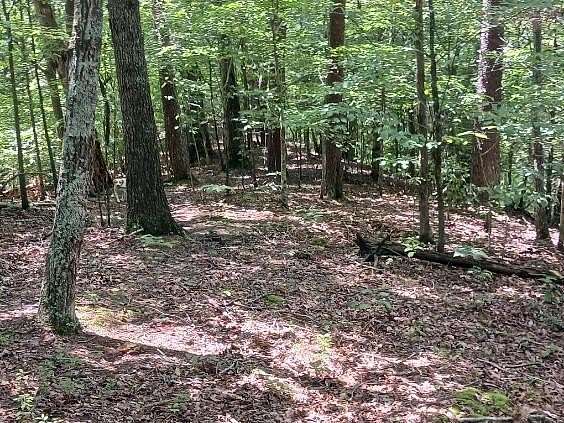2 Acres of Land for Sale in Newport, Tennessee
