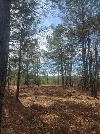 11.7 Acres of Recreational & Residential Land for Sale in Diana, Texas