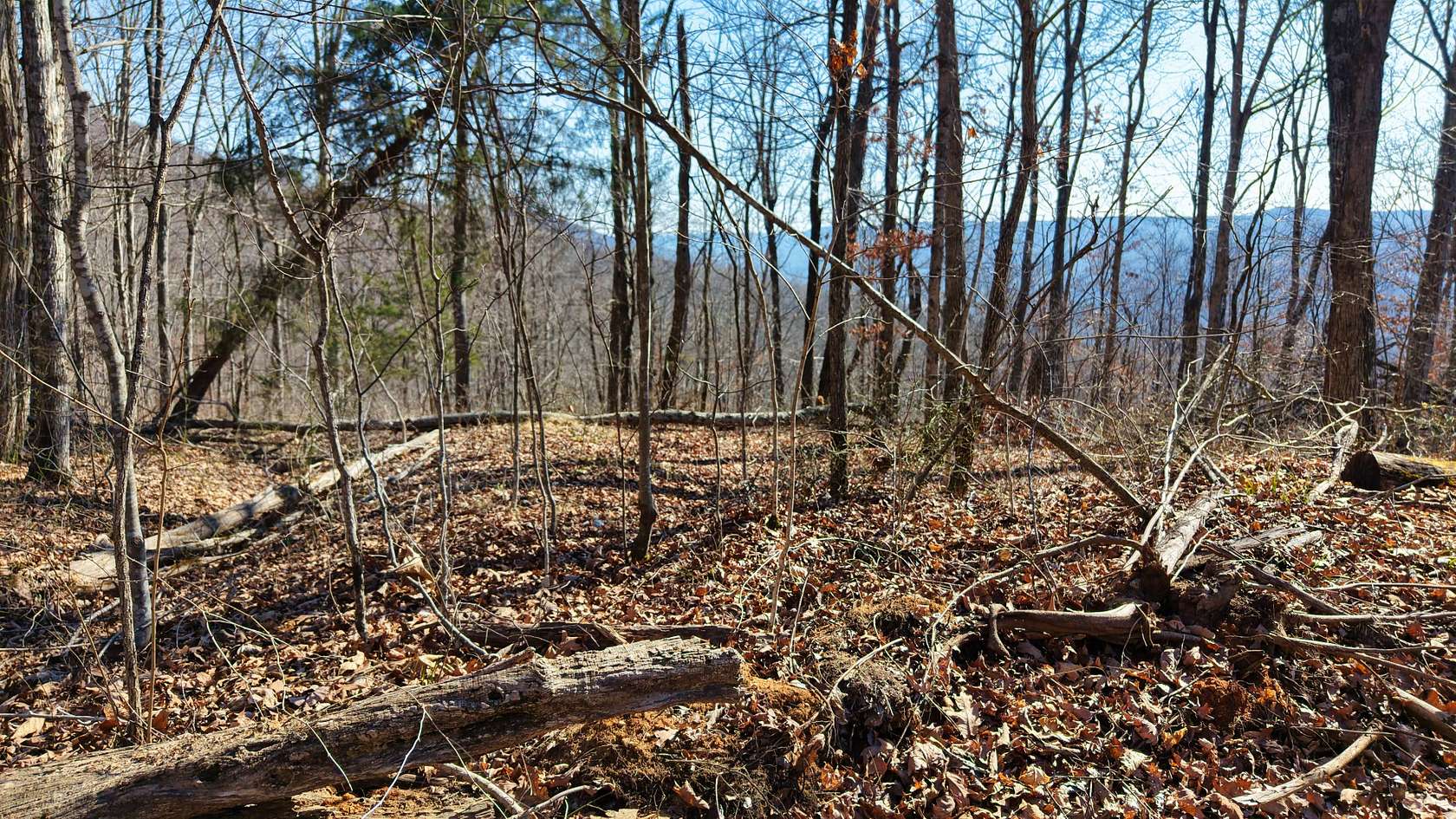 36 Acres of Recreational & Residential Land for Sale in Beersheba Springs, Tennessee