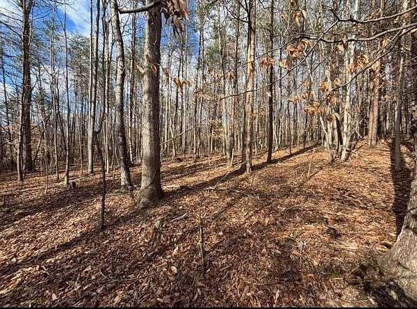 2.66 Acres of Residential Land for Sale in Moneta, Virginia