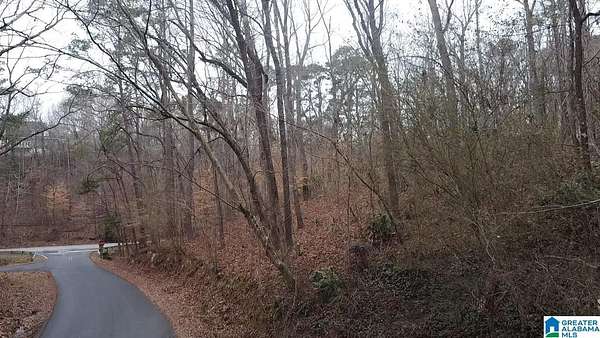 1 Acre of Residential Land for Sale in Sylacauga, Alabama