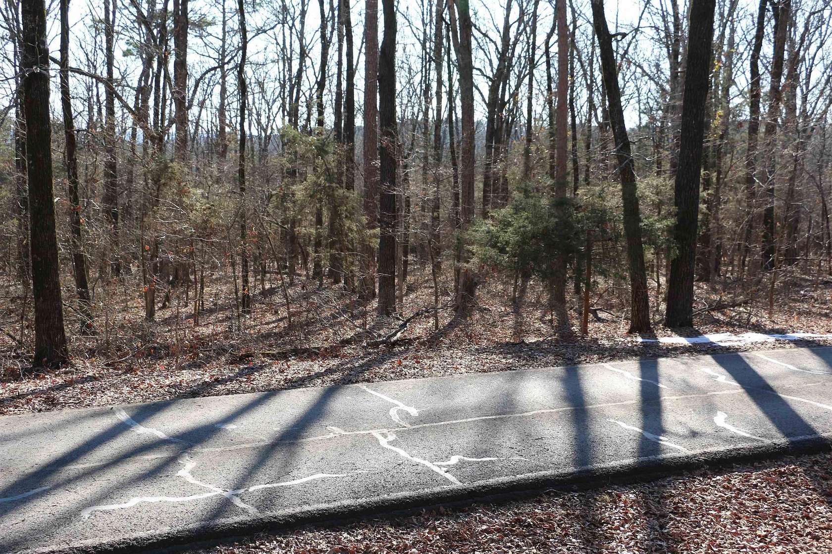 0.32 Acres of Land for Sale in Fairfield Bay, Arkansas