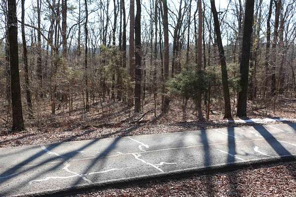 0.32 Acres of Residential Land for Sale in Fairfield Bay, Arkansas