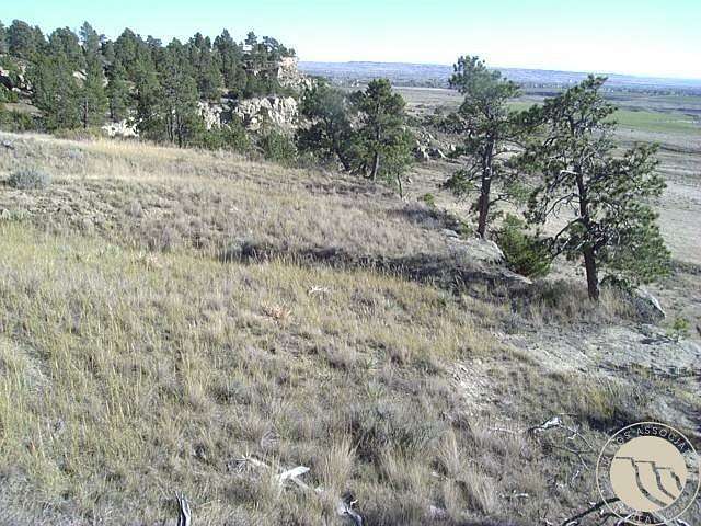 20 Acres of Land for Sale in Shepherd, Montana