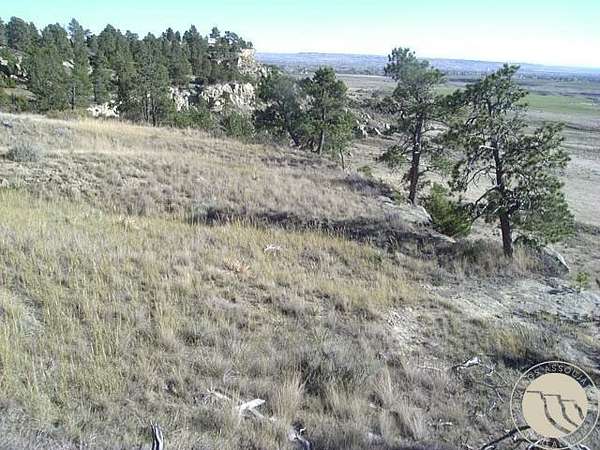 20 Acres of Land for Sale in Shepherd, Montana