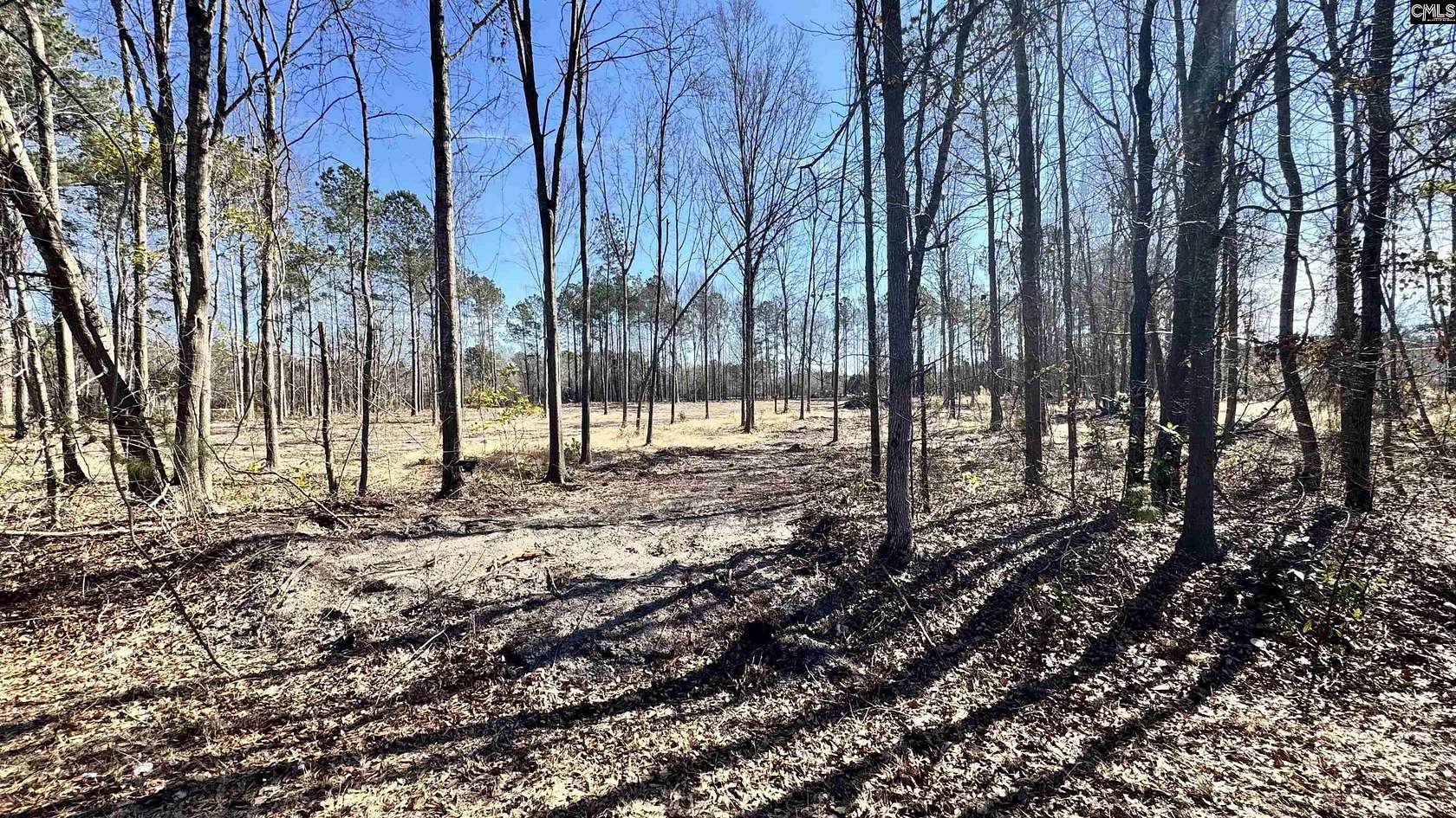 1.25 Acres of Residential Land for Sale in Cassatt, South Carolina