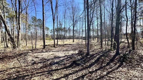 1.25 Acres of Residential Land for Sale in Cassatt, South Carolina